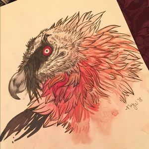 “Lammergeier” Original Artwork